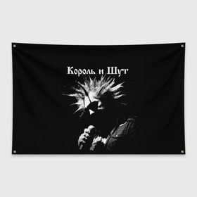 Флаг-баннер с принтом Король и Шут + Анархия (спина) в Рязани, 100% полиэстер | размер 67 х 109 см, плотность ткани — 95 г/м2; по краям флага есть четыре люверса для крепления | киш | король и шут | михаил горшенев