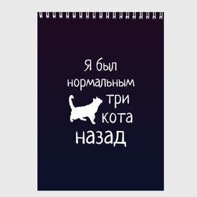 Скетчбук с принтом Я был в норме три кота назад в Рязани, 100% бумага
 | 48 листов, плотность листов — 100 г/м2, плотность картонной обложки — 250 г/м2. Листы скреплены сверху удобной пружинной спиралью | cats | normal | жизненно | жизнь | котики | коты | котэ | кошатник | кошатница | кошка | кошки | нормальный