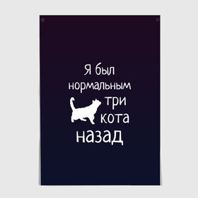 Постер с принтом Я был в норме три кота назад в Рязани, 100% бумага
 | бумага, плотность 150 мг. Матовая, но за счет высокого коэффициента гладкости имеет небольшой блеск и дает на свету блики, но в отличии от глянцевой бумаги не покрыта лаком | cats | normal | жизненно | жизнь | котики | коты | котэ | кошатник | кошатница | кошка | кошки | нормальный