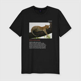 Мужская футболка премиум с принтом Leopard в Рязани, 92% хлопок, 8% лайкра | приталенный силуэт, круглый вырез ворота, длина до линии бедра, короткий рукав | animals | red book | red list | животные | животные из красной книги | красная книга | редкие животные