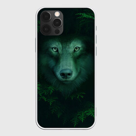 Чехол для iPhone 12 Pro Max с принтом Сибирь Лесной волк в Рязани, Силикон |  | safesibiria | siberia | алтай | волк | дикий | елки | ель | лес | охота | сибирь | сибирь горит | сибирьгорит | спаситесибирь | тайга | шерегеш | экология