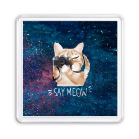 Магнит 55*55 с принтом Say Meow в Рязани, Пластик | Размер: 65*65 мм; Размер печати: 55*55 мм | meow | кот | котенок | котик | котики | котятка | кошка | мяу | скажи мяу | фотоаппарат | фотограф