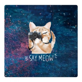 Магнитный плакат 3Х3 с принтом Say Meow в Рязани, Полимерный материал с магнитным слоем | 9 деталей размером 9*9 см | meow | кот | котенок | котик | котики | котятка | кошка | мяу | скажи мяу | фотоаппарат | фотограф