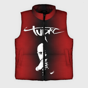 Мужской жилет утепленный 3D с принтом 2Pac в Рязани,  |  | 2 pac | 2 pack | 2 pak | 2pack | 2pak | gangsta | gangster | hiphop | makaveli | mc new york | rap | thug life | tu pac | tupac | tupac shakur | tupack | two pac | west coast | гангста | реп | рэп | ту пак | тупак