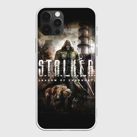 Чехол для iPhone 12 Pro с принтом S.T.A.L.K.E.R. в Рязани, силикон | область печати: задняя сторона чехла, без боковых панелей | Тематика изображения на принте: 2 | call of chernobyl | s.t.a.l.k.e.r. | shadow of chernobyl | stalker | зов припяти | зона | летс плей | моды | сталкер | стрим | тень чернобыля | чистое небо