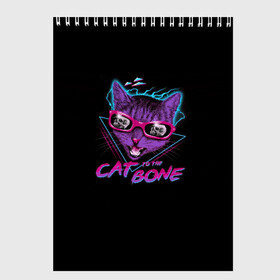 Скетчбук с принтом Cat To The Bone в Рязани, 100% бумага
 | 48 листов, плотность листов — 100 г/м2, плотность картонной обложки — 250 г/м2. Листы скреплены сверху удобной пружинной спиралью | Тематика изображения на принте: 80 | bone | bones | cat | cyber | game | hotline | hotlinemiami | maiami | music | outrun | retro | retrowave | skull | synth | synthwave | игра | кибер | кот | кошка | ретро | череп