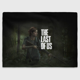 Плед 3D с принтом THE LAST OF US в Рязани, 100% полиэстер | закругленные углы, все края обработаны. Ткань не мнется и не растягивается | Тематика изображения на принте: cicadas | fireflies | naughty dog | the last of us | the last of us part 2 | джоэл | последние из нас | цикады | элли