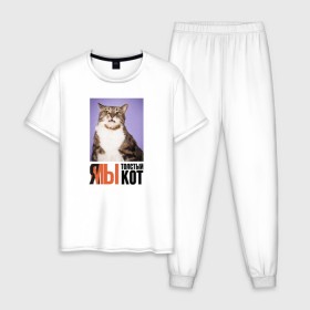 Мужская пижама хлопок с принтом Я-МЫ толстый кот в Рязани, 100% хлопок | брюки и футболка прямого кроя, без карманов, на брюках мягкая резинка на поясе и по низу штанин
 | викторлетай | кот | котики | мемы | приколы