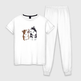 Женская пижама хлопок с принтом Две Хаски в Рязани, 100% хлопок | брюки и футболка прямого кроя, без карманов, на брюках мягкая резинка на поясе и по низу штанин | две хаски | друзья | питомцы | рисунок | собаки | хаски