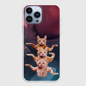 Чехол для iPhone 13 Pro Max с принтом Танцующие коты в Рязани,  |  | cats | забавный | котики | коты | мем | прикол | смешная | танцующие коты