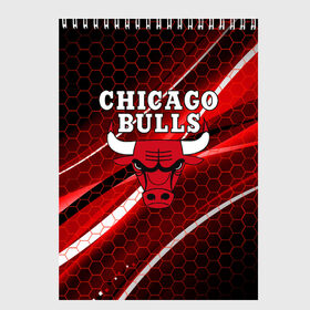 Скетчбук с принтом CHICAGO BULLS в Рязани, 100% бумага
 | 48 листов, плотность листов — 100 г/м2, плотность картонной обложки — 250 г/м2. Листы скреплены сверху удобной пружинной спиралью | Тематика изображения на принте: bulls | chicago | chicago bulls | nba | red bulls | usa | америка | быки | нба | сша | чикаго буллс