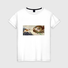 Женская футболка хлопок с принтом Сотворение Адама и кот в Рязани, 100% хлопок | прямой крой, круглый вырез горловины, длина до линии бедер, слегка спущенное плечо | mem | memes | весело | искусство | кот | котик | мем | прикол | сотворение адама