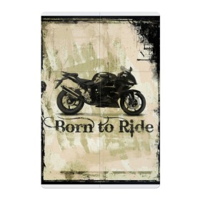 Магнитный плакат 2Х3 с принтом Born to Ride в Рязани, Полимерный материал с магнитным слоем | 6 деталей размером 9*9 см | байк | байкер | байкеру | байкерше | беспечный ездок | ветер | гонки | дорога | езда | ездок | мото | мотобайк | мотогонки | мотокросс | мотор | мотоспорт | мотоцикл | мотоциклист | мотоциклисту