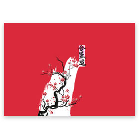 Поздравительная открытка с принтом Сакура Айкидо в Рязани, 100% бумага | плотность бумаги 280 г/м2, матовая, на обратной стороне линовка и место для марки
 | aikido | аикидо | айкидо | восточные единоборства | единоборства | морихей уэсиба