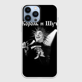 Чехол для iPhone 13 Pro Max с принтом Король и Шут + Анархия (спина) в Рязани,  |  | Тематика изображения на принте: punk | rock | киш | король | король и шут | михаил горшенев | панки | рок | русский рок | шут