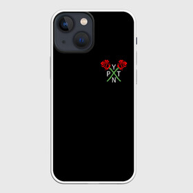 Чехол для iPhone 13 mini с принтом PAYTON MOORMEIER (НА СПИНЕ) в Рязани,  |  | flower | payton moormeier | roses | tiktok | автограф payton | блогер | пейтон | пейтон моормиер | розы | тикток | тиктокер | цветы | ютубер