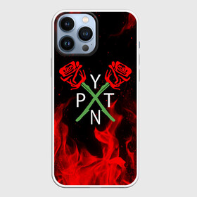 Чехол для iPhone 13 Pro Max с принтом PAYTON MOORMEIER   ТИКТОК в Рязани,  |  | payton moormeier | tiktok | блогер | пейтон | пейтон моормиер | тикток | тиктокер | ютубер