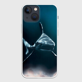 Чехол для iPhone 13 mini с принтом акула в Рязани,  |  | fish | sea | shark | акула | водоросли | майки с морем | майки с прикольными рыбками | майки с рыбками | море | морская рыба | морские картинки | морские фото | прикольные рыбки | рыба | рыбка | хищная рыба