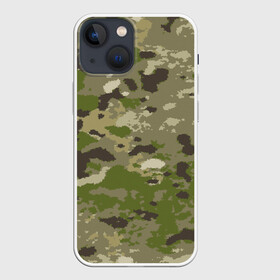 Чехол для iPhone 13 mini с принтом CAMOUFLAGE в Рязани,  |  | 23 февраля | amel flags | camouflage | dazzle paint | province | provinces | день защитника отечества | камуфляж | маскировка | сокрытие