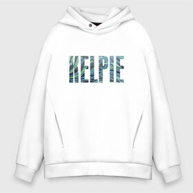 Мужское худи Oversize хлопок с принтом KELPIE в Рязани, френч-терри — 70% хлопок, 30% полиэстер. Мягкий теплый начес внутри —100% хлопок | боковые карманы, эластичные манжеты и нижняя кромка, капюшон на магнитной кнопке | Тематика изображения на принте: fantastic beasts: the crimes of grindelwald | vdosadir | wizarding world | водяная лошадка | водяной демон | кельпи