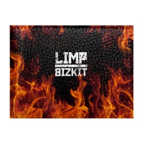 Обложка для студенческого билета с принтом LIMP BIZKIT в Рязани, натуральная кожа | Размер: 11*8 см; Печать на всей внешней стороне | Тематика изображения на принте: dj lethal | limp bizkit | rock | джон отто | лимп бизкит | майк смит | музыка | роб уотерс | рок | сэм риверс | терри бальзамо | уэс борланд | фред дёрст