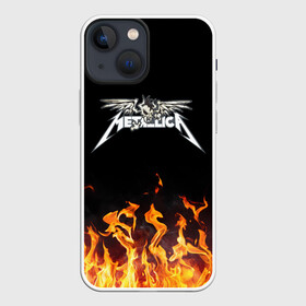 Чехол для iPhone 13 mini с принтом Metallica в Рязани,  |  | heavy | heavy metal | metal | metalica | metallica | trash metal | джеймс | кирк | ларс | мастейн | метал | металика | металл | металлика | музыка | ньюстед | рок | трухильо | ульрихт | хеви | хэви | хэммет | хэтфилд