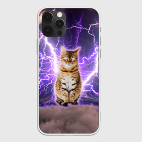 Чехол для iPhone 12 Pro Max с принтом Котушка Теслы в Рязани, Силикон |  | cat | lightning | lightning cat | tesla | арт с котом | грозовой кошак | катушка теслы | кот | кот мем | котейка | котушка теслы | котяра | кошак | кошка | мем с котом | молнии | тесла