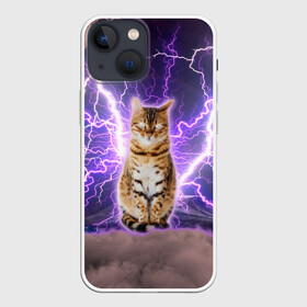 Чехол для iPhone 13 mini с принтом Котушка Теслы в Рязани,  |  | cat | lightning | lightning cat | tesla | арт с котом | грозовой кошак | катушка теслы | кот | кот мем | котейка | котушка теслы | котяра | кошак | кошка | мем с котом | молнии | тесла