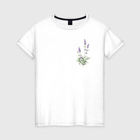 Женская футболка хлопок с принтом Lavanda в Рязани, 100% хлопок | прямой крой, круглый вырез горловины, длина до линии бедер, слегка спущенное плечо | лаванда | лавандовые цветы | милота | нежность | цветочки | цветы