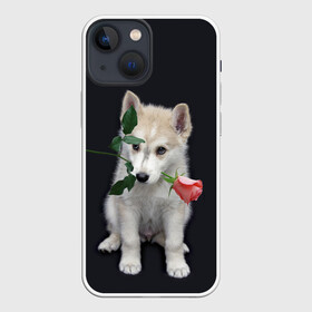 Чехол для iPhone 13 mini с принтом Щенок в подарок в Рязани,  |  | 8 марта щенок | husky | siberian husky | белый щенок | лайка | собака на день рождения | собака с розой | собака с цветком | хаски | щенок | щенок 8 марта | щенок лайки | щенок на 8 марта | щенок на день рождения