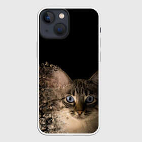 Чехол для iPhone 13 mini с принтом Disintegrating Cat в Рязани,  |  | cat | азулес | атомный кот | голубоглазая кошка | голубоглазый кот | голубоглазый котик | кот | кот к | кот распадающийся на атомы | кот с голубыми глазами | котик | котэ | кошак | кошачий портрет