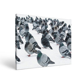 Холст прямоугольный с принтом Голуби в Рязани, 100% ПВХ |  | bird | pigeon | russia | snow | winter | голубь | животные | зима | курлык | птицы | россия | снег | текстура | фон | фотография