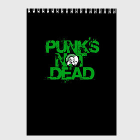 Скетчбук с принтом Punks Not Dead в Рязани, 100% бумага
 | 48 листов, плотность листов — 100 г/м2, плотность картонной обложки — 250 г/м2. Листы скреплены сверху удобной пружинной спиралью | art | punk | punks not dead | rock | sons of anarchy | анархия | арт | группа | егор летов | логотип | музыка | надпись | панк | панк рок | прикольная | рок | свобода | хаос