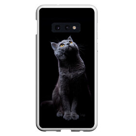 Чехол для Samsung S10E с принтом Кот Британец в Рязани, Силикон | Область печати: задняя сторона чехла, без боковых панелей | Тематика изображения на принте: animal | animals | beast | black | cat | kitten | британец | британка | животное | животные | зверек | зверь | кот | котейка | котенок | котики | котэ | кошка | кошки | черная
