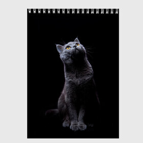 Скетчбук с принтом Кот Британец в Рязани, 100% бумага
 | 48 листов, плотность листов — 100 г/м2, плотность картонной обложки — 250 г/м2. Листы скреплены сверху удобной пружинной спиралью | Тематика изображения на принте: animal | animals | beast | black | cat | kitten | британец | британка | животное | животные | зверек | зверь | кот | котейка | котенок | котики | котэ | кошка | кошки | черная