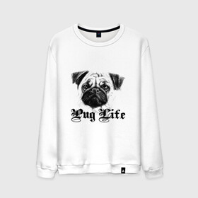 Мужской свитшот хлопок с принтом Pug life в Рязани, 100% хлопок |  | pug life | арт | животные | мопс | собака | собачья жизнь