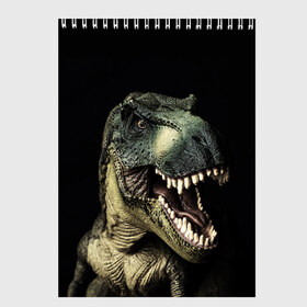 Скетчбук с принтом Динозавр T-Rex в Рязани, 100% бумага
 | 48 листов, плотность листов — 100 г/м2, плотность картонной обложки — 250 г/м2. Листы скреплены сверху удобной пружинной спиралью | dino | dinosauria | t rex | ti rex | дино | динозавр | парк юрского | т рекс | ти рекс | чудовище | юрский период | ящер | ящерица