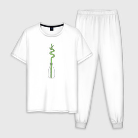 Мужская пижама хлопок с принтом Бамбук в Рязани, 100% хлопок | брюки и футболка прямого кроя, без карманов, на брюках мягкая резинка на поясе и по низу штанин
 | бутылка | домашние растения | зеленый | панда | растения | суккуленты | цветы | чистый | экологический | экология