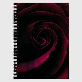 Тетрадь с принтом Dark Rose в Рязани, 100% бумага | 48 листов, плотность листов — 60 г/м2, плотность картонной обложки — 250 г/м2. Листы скреплены сбоку удобной пружинной спиралью. Уголки страниц и обложки скругленные. Цвет линий — светло-серый
 | art | dark | flower | red | rose | арт | бутон | лепестки | роза | текстура | темный | цветы