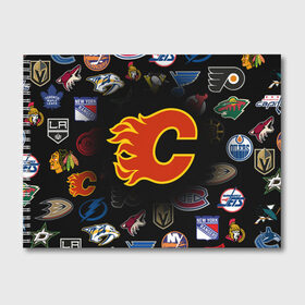 Альбом для рисования с принтом Calgary Flames (Z) в Рязани, 100% бумага
 | матовая бумага, плотность 200 мг. | anaheim ducks | arizona coyotes | boston bruins | buffalo sabres | calgary flames | canadiens de montreal | carolina hurricanes | chicago blackhawks | colorado avalanche | columbus blue jackets | dallas stars | detroit red wings | edmonton oil | hockey | 