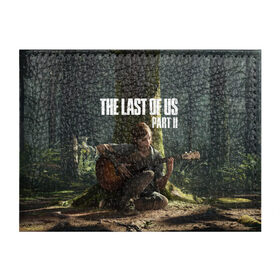 Обложка для студенческого билета с принтом The Last of Us part 2 в Рязани, натуральная кожа | Размер: 11*8 см; Печать на всей внешней стороне | Тематика изображения на принте: day | ellie | games | joel | naughty dog | день | джоэл | игры | одни из нас | часть 2 | элли