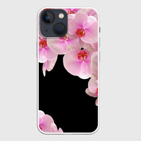 Чехол для iPhone 13 mini с принтом Орхидеи в ночи в Рязани,  |  | азия | бабочки | бутоны | ветки | девушкам | джунгли | женщинам | лепестки | летний | лето | листья | любовь | март | орхидеи | орхидея | подарок | природа | растения | розовыецветы | сад | тропика