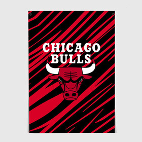 Постер с принтом Chicago Bulls. в Рязани, 100% бумага
 | бумага, плотность 150 мг. Матовая, но за счет высокого коэффициента гладкости имеет небольшой блеск и дает на свету блики, но в отличии от глянцевой бумаги не покрыта лаком | 23 | air jordan | bulls | chicago bulls | jordan | michael jordan | nba | paris saint germain | psg | red | sport | быки | джордан | майкл джордан | псж | спорт | чикаго буллс