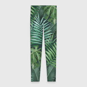 Леггинсы 3D с принтом Тропики в Рязани, 80% полиэстер, 20% эластан | Эластичный пояс, зауженные к низу, низкая посадка | summer | банановая | банановые | джунгли | зелень | краски | летняя | лето | листики | листы | листья | надпись | настроение | отдых | отпуск | пальма | пальмовые | пальмы | папоротник | пляжная | позитив