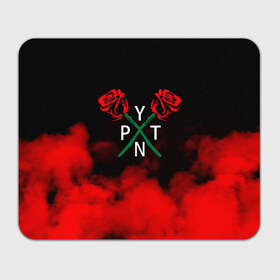 Коврик для мышки прямоугольный с принтом PYTN X ROSE. в Рязани, натуральный каучук | размер 230 х 185 мм; запечатка лицевой стороны | payton | payton moormeie | pytn | rose | блогер | знаменитость | пейтон | пейтон моормиер | тиктоенр