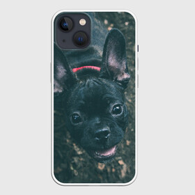 Чехол для iPhone 13 с принтом Бульдог морда собакена черного в Рязани,  |  | бульдог | гав | глаза | любимец | любителю животных | ошейник | пес | песель | песик | питомец | псина | псинка | собака | собакен | собачка | собачник | уши | черный | язык