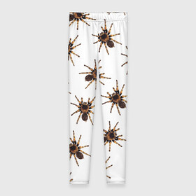 Леггинсы 3D с принтом В пауках в Рязани, 80% полиэстер, 20% эластан | Эластичный пояс, зауженные к низу, низкая посадка | pattern | spider | джунгли | дикие | животные | жуки | звери | лапы | мерзкие | монстр | насекомые | паттерн | паук | пауки | паутина | паучок | птицеед | страшный | существа | тараканы | тарантул | тропики