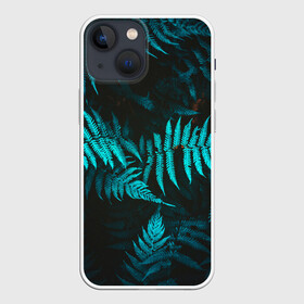 Чехол для iPhone 13 mini с принтом ПАПОРОТНИК в Рязани,  |  | summer | tropic | жара | летний | лето | отдых | пальмы | природа | текстура | тропикано | тропики