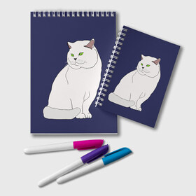 Блокнот с принтом Белый британский котик в Рязани, 100% бумага | 48 листов, плотность листов — 60 г/м2, плотность картонной обложки — 250 г/м2. Листы скреплены удобной пружинной спиралью. Цвет линий — светло-серый
 | Тематика изображения на принте: cat | cute | kitten | meow | британец | британский | взгляд | друзья | животные | зверек | зверюшки | каваи | киска | котенок | котик | коты | котята | кошак | кошечки | кошки | лапы | милые | мордочка | мяу | няшные