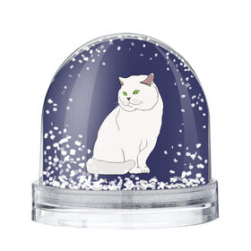 Снежный шар с принтом Белый британский котик в Рязани, Пластик | Изображение внутри шара печатается на глянцевой фотобумаге с двух сторон | Тематика изображения на принте: cat | cute | kitten | meow | британец | британский | взгляд | друзья | животные | зверек | зверюшки | каваи | киска | котенок | котик | коты | котята | кошак | кошечки | кошки | лапы | милые | мордочка | мяу | няшные